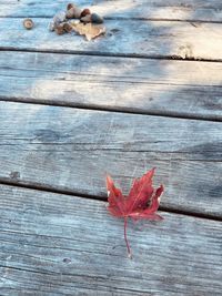 High angle view of maple leaf on wooden plank