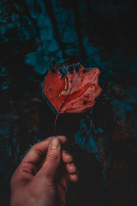 Close-up of hand holding red leaf in lake