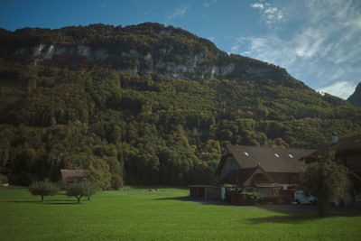 Scenic view of field by trees and houses against sky