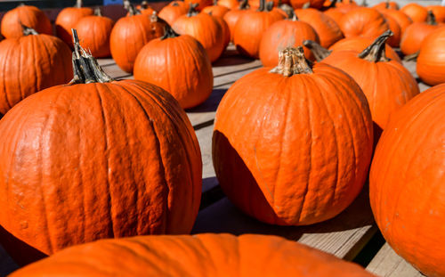 High angle view of pumpkins for sale at market stall