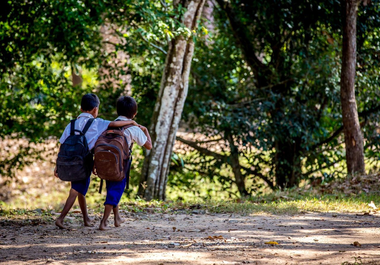 full length, rear view, lifestyles, tree, walking, leisure activity, casual clothing, men, boys, togetherness, the way forward, dirt road, backpack, childhood, person, girls, growth