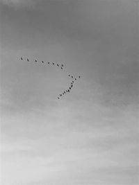 Low angle view of birds flying against sky