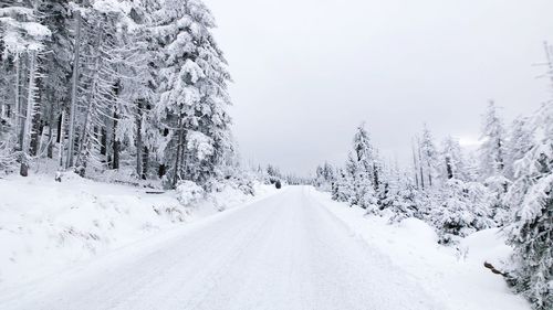 Snow covered road amidst trees against sky