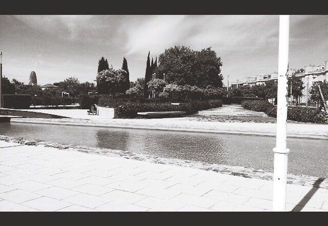 VIEW OF POND IN PARK