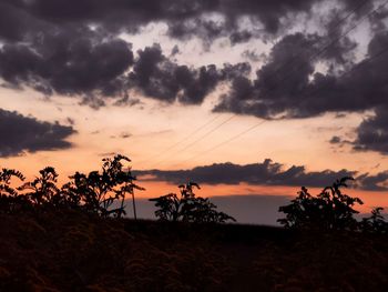 Silhouette plants against dramatic sky during sunset