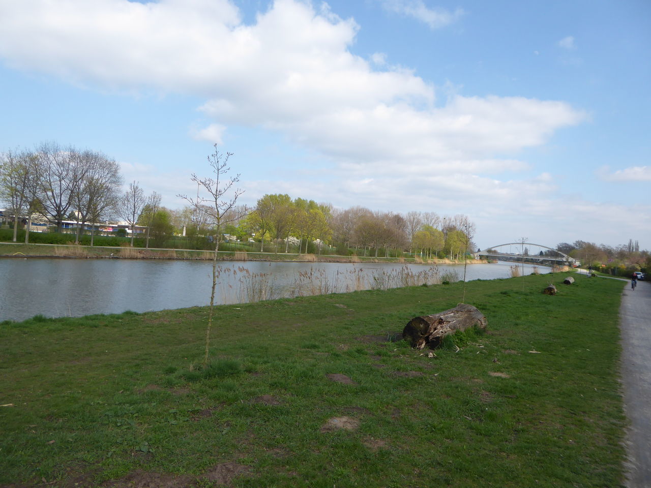 GRASS BY RIVER AGAINST SKY