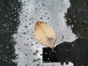 Close-up of wet window during rainy season