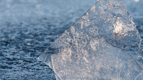 Close-up of ice on sea shore