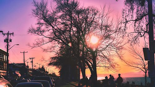 Cars on road at sunset