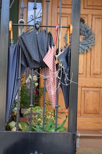 Potted plant hanging outside building