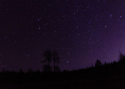 Low angle view of silhouette trees against sky at night