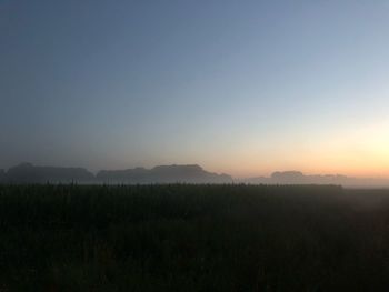 Scenic view of field against clear sky during sunset