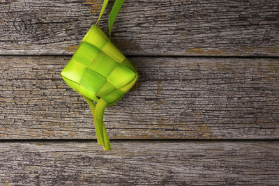 High angle view of green leaf on table