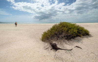 Man standing at beach against sky