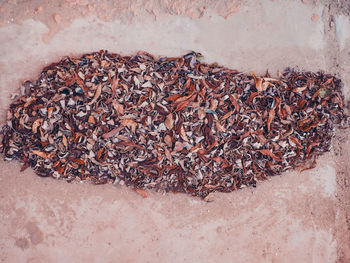 High angle view of cigarette on wood