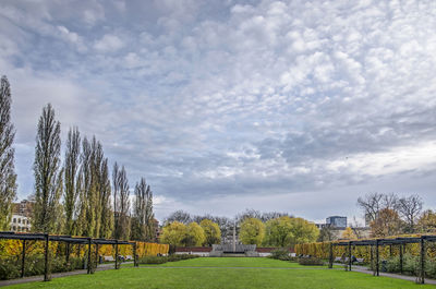 Trees on field against sky