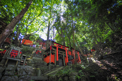 Low angle view of temple hanging from tree