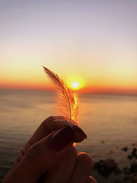 Feather in front of the sun