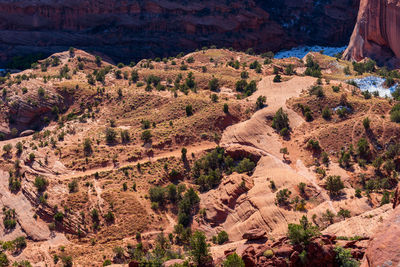 Canyon floor with a few trees and mounds at canyon de chelly national monument in arizona