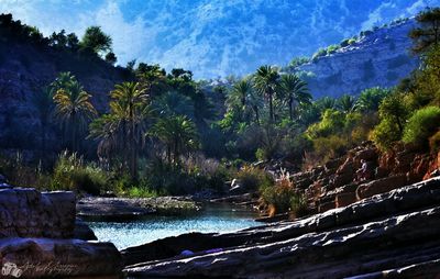 Scenic view of trees and mountains against sky