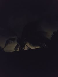 Low angle view of silhouette trees against sky at night