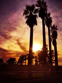 Low angle view of silhouette palm trees against sunset sky