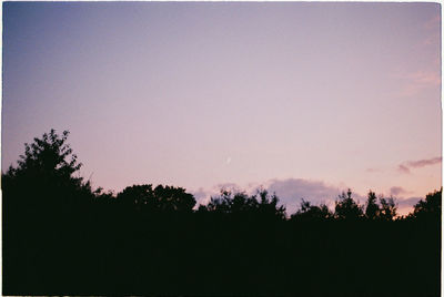 Silhouette trees against sky at night