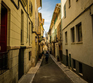 Rear view of people walking in alley