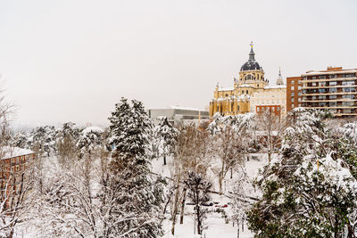 Trees and buildings against sky during winter