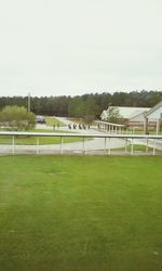 View of grassy field