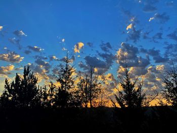Low angle view of silhouette trees against sky during sunset