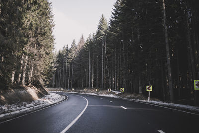 Road amidst trees during winter