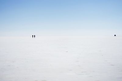 People on beach against clear sky