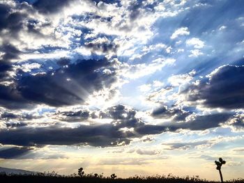 Low angle view of sky at sunset