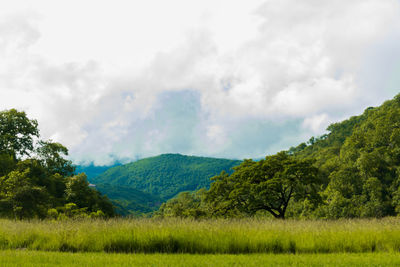 Scenic view of landscape against sky