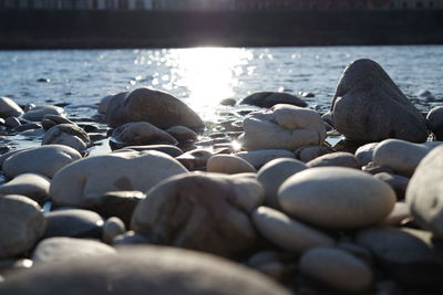 Surface level shot of pebbles on riverbank