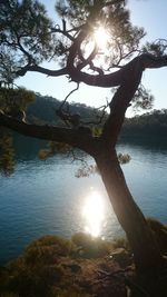 Scenic view of lake against bright sun