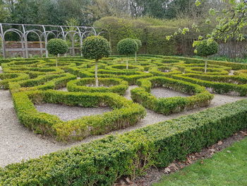 View of formal garden in park