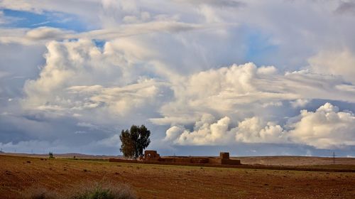 Scenic view of agricultural field against sky