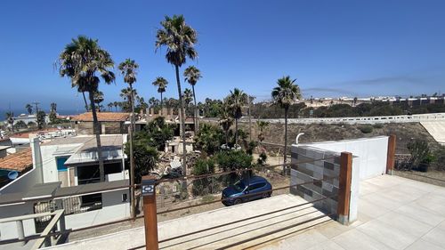 Palm trees by swimming pool against blue sky