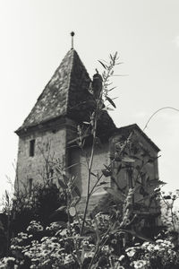 Low angle view of plants in front of building against clear sky