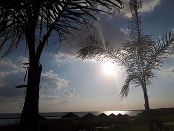 Low angle view of silhouette palm trees against sky