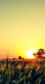 Scenic view of landscape at sunset