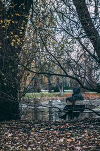 Man sitting in forest during autumn