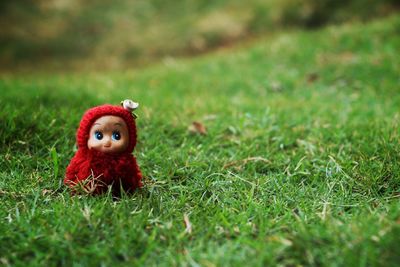 Close-up of stuffed toy on field