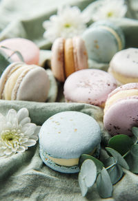 Beautiful colorful tasty macaroons and white flowers on a textile background