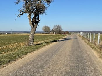 Empty road amidst trees on field against clear sky