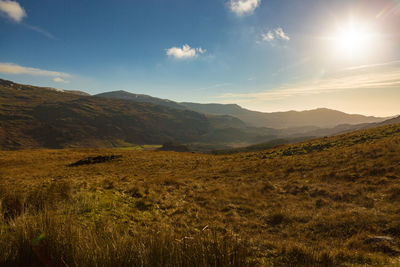 Scenic view of landscape against sky