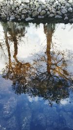 Reflection of tree in lake against sky