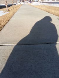 Shadow of man on footpath in city